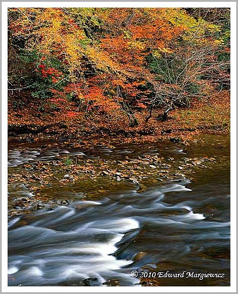 450693   Some rapids along the Little River